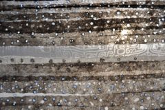 12.XGao.Jingzhe.detail