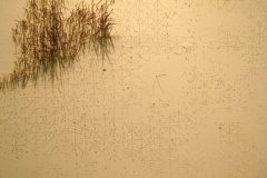 11_XGao_Lost in Wood
