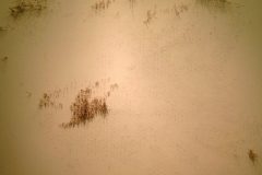 15_XGao_Lost in Wood