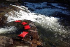 40's Meditation.Rapid