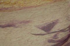 11_XGao_Detail 2
