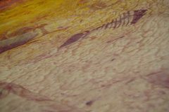 12_XGao_Detail 3