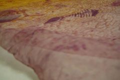 13_XGao_Detail 4