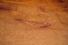 14_XGao_Detail 1