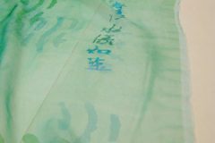 1_XGao_Life Source 1
