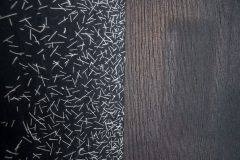 9_ToOwnBuddha-Xuan_detail2_XGao