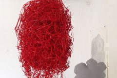 14_XGao.Webbed