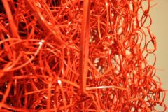 16_Webbed_detail_XGao